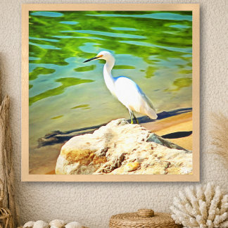 Silberreiher am Mismaloya-Fluss 0335 Kunstprint Poster
