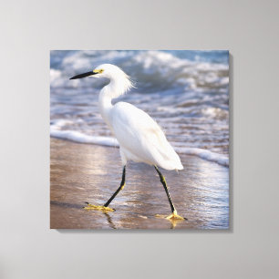 Silberreiher auf Strand Canvas Leinwanddruck
