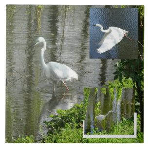 Silberreiher Collage Keramikfliese