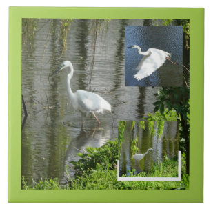 Silberreiher Collage Kund. Rahmenfarbe Keramikflie Fliese