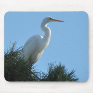 Silberreiher im sonnigen Florida Mousepad