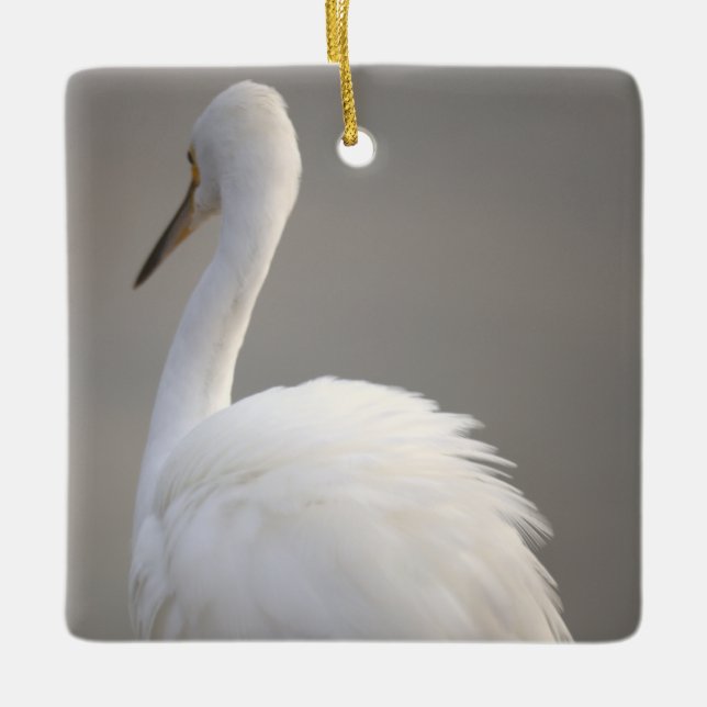Silberreiher-Vogel-Ornament  Keramikornament (Vorderseite)