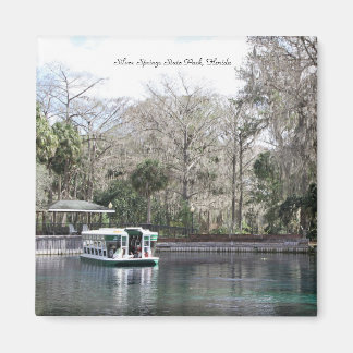 Silberring, Florida, Glasbodenboot Magnet