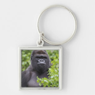 Silberrücken-Flachlandgorilla, Gorilla gorilla, Schlüsselanhänger
