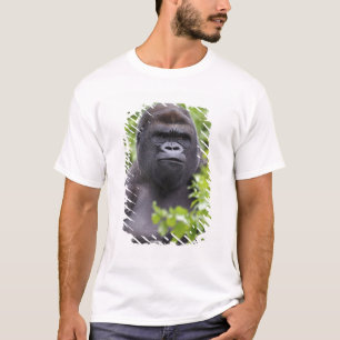 Silberrücken-Flachlandgorilla, Gorilla gorilla, T-Shirt