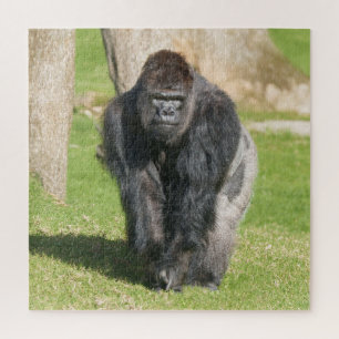 Silberrücken-Gorilla – Ein Moment der Macht Puzzle