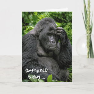 Silberrücken-Gorilla zum Geburtstag tief in Gedank Karte
