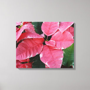 Silberstern-Marmor-Weihnachtssterne Rosa Holiday F Leinwanddruck