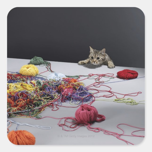 Silbertablette Katzenklettern über Tischkante Quadratischer Aufkleber (Vorderseite)