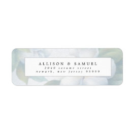 Silberweiße Dogwood-Blüten