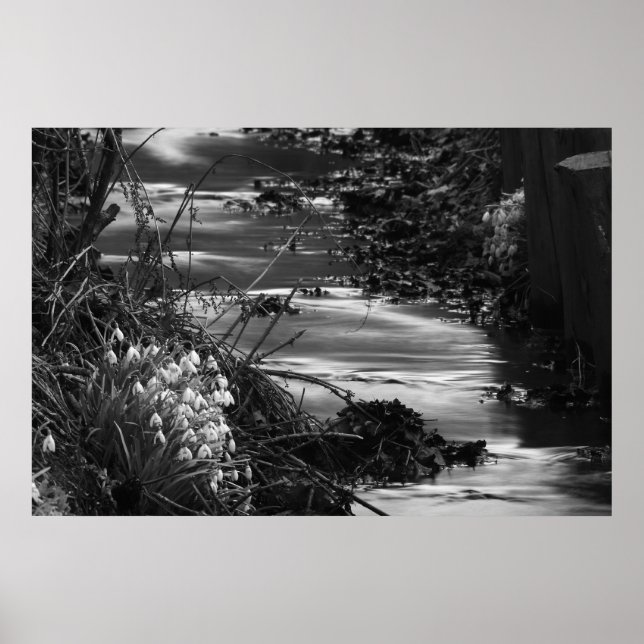 Silent Creek Poster (Vorne)