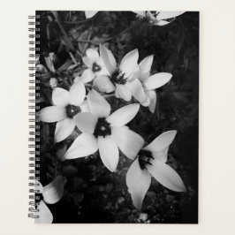 Silent Symmetry Planer