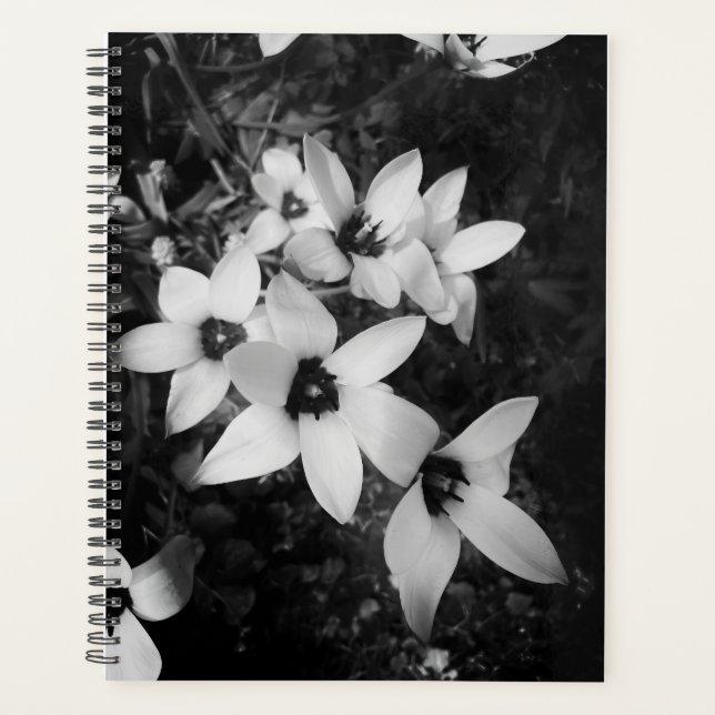 Silent Symmetry Planer (Vorderseite)