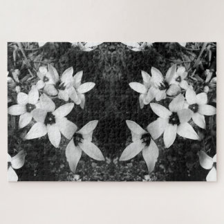 Silent Symmetry Puzzle