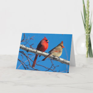 Silent Wonders Blank Greeting Card Cardinals Karte