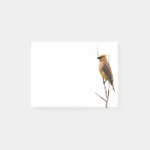Silent Wonders Post es merkt Cedar Waxwing Post-it Klebezettel