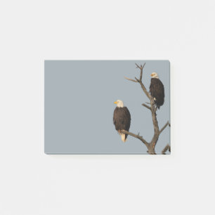 Silent Wonders Post It Notes Adles Post-it Klebezettel