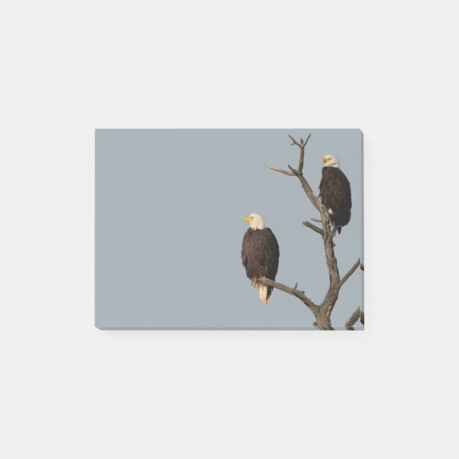 Silent Wonders Post It Notes Adles Post-it Klebezettel (Vorderseite)