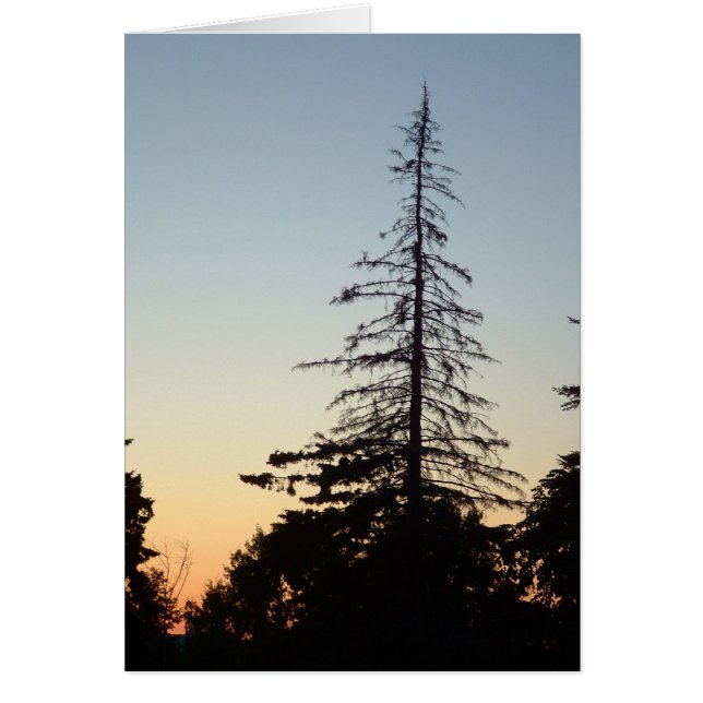 Silhouette (Vorne)