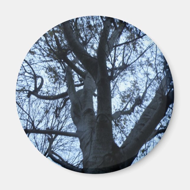 Silhouette-Bildmagazin Magnet (Vorne)