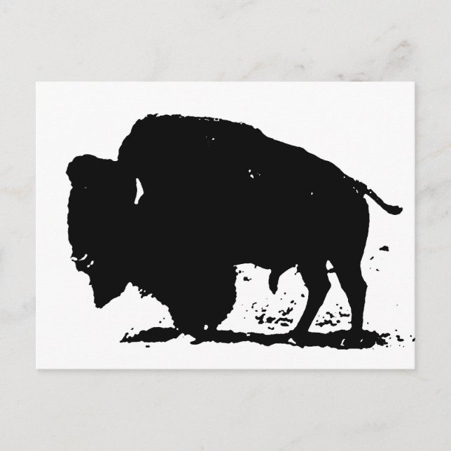 Silhouette Black & White Buffalo Postkarte (Vorderseite)