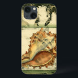 Silhouette Conch Muschel iPhone 13 Hülle<br><div class="desc">Bleibe mit diesem Stück zeitgenössischer Kunst von Jennifer Goldberger entspannt. Ihre Sammlung von Muschelkunst ist entspannend und inspirierend. Dieses Kunstwerk konzentriert sich auf eine große Muschel von Conch,  umgeben von grünem Korallenriff. Holen Sie sich diese wunderschöne Meereskunst heute mit einem Silhouette-Gefühl auf Ihrem nächsten Produkt.</div>