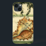 Silhouette Conch Muschel iPhone 13 Hülle<br><div class="desc">Bleibe mit diesem Stück zeitgenössischer Kunst von Jennifer Goldberger entspannt. Ihre Sammlung von Muschelkunst ist entspannend und inspirierend. Dieses Kunstwerk konzentriert sich auf eine große Muschel von Conch,  umgeben von grünem Korallenriff. Holen Sie sich diese wunderschöne Meereskunst heute mit einem Silhouette-Gefühl auf Ihrem nächsten Produkt.</div>