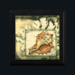 Silhouette Conch Muschel Geschenkbox<br><div class="desc">Bleibe mit diesem Stück zeitgenössischer Kunst von Jennifer Goldberger entspannt. Ihre Sammlung von Muschelkunst ist entspannend und inspirierend. Dieses Kunstwerk konzentriert sich auf eine große Muschel von Conch,  umgeben von grünem Korallenriff. Holen Sie sich diese wunderschöne Meereskunst heute mit einem Silhouette-Gefühl auf Ihrem nächsten Produkt.</div>