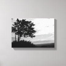 Silhouette der Bäume in Schwarz und Weiß