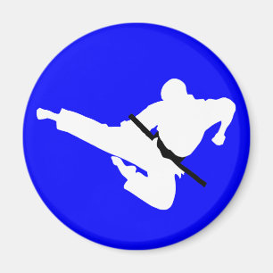 Silhouette der Kampfkünste Magnet