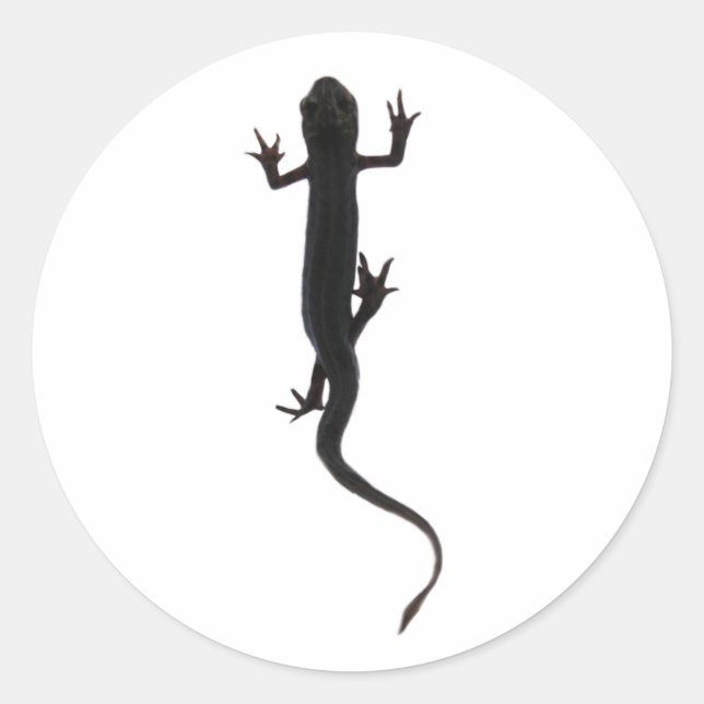 Silhouette der NWT-Amphibien Runder Aufkleber (Vorderseite)