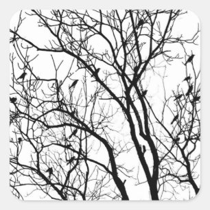 Silhouette der Vogel durch Therese Kramer Quadratischer Aufkleber