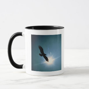 Silhouette des Fliegens des kahlen Adlers im Tasse