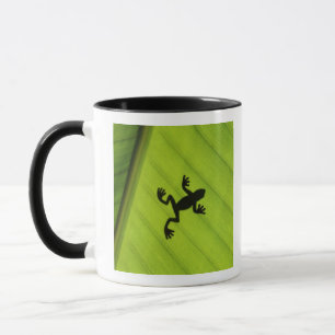 Silhouette des Frosches durch Bananenblatt Tasse
