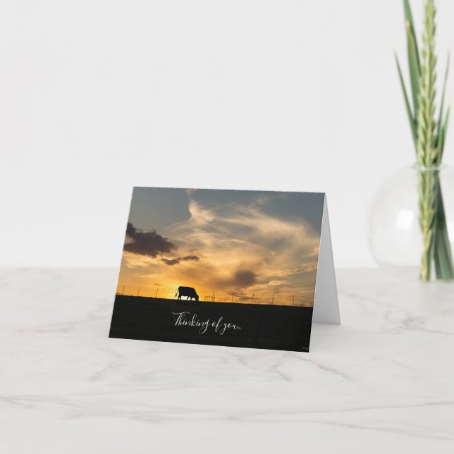 Silhouette des Rinder-Sonnenuntergangs Karte (Vorderseite)