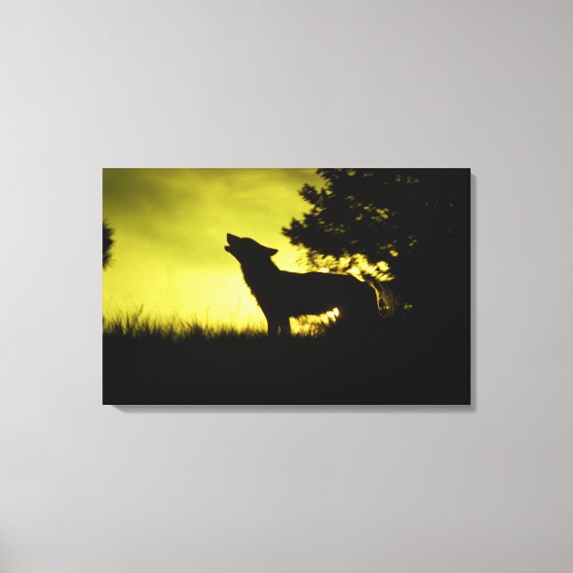 Silhouette des Wolfhechens Leinwanddruck (Vorderseite)