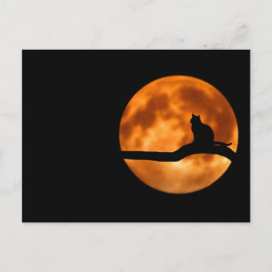 Silhouette einer schwarzen Katze in einem Baum Postkarte