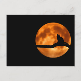 Silhouette einer schwarzen Katze in einem Baum Postkarte