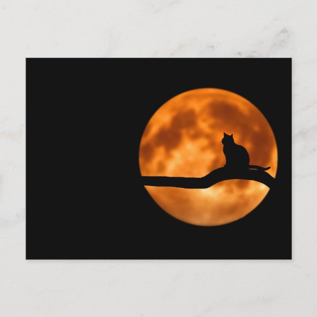 Silhouette einer schwarzen Katze in einem Baum Postkarte (Vorderseite)