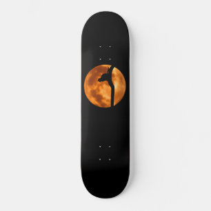 Silhouette einer Schwarzen Katze in einem Baumskat Skateboard
