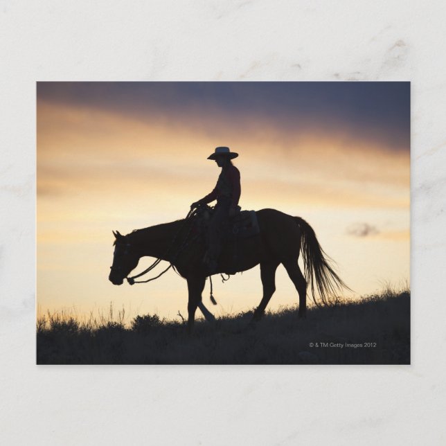 Silhouette eines Cowgirl auf ihrem Pferd gegen die Postkarte (Vorderseite)