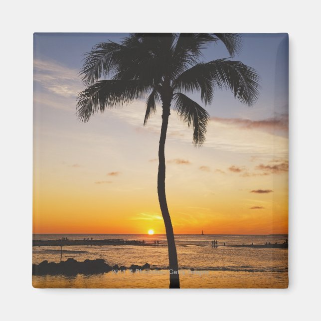 Silhouette eines Palmenbaumes durch einen Roten Or Magnet (Vorne)