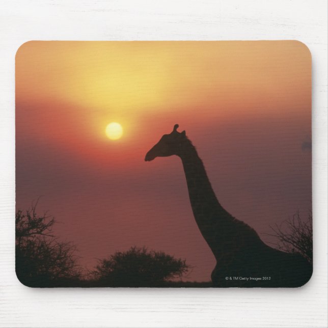 Silhouette Giraffe (Giraffa Camelopardalis) Mousepad (Vorne)
