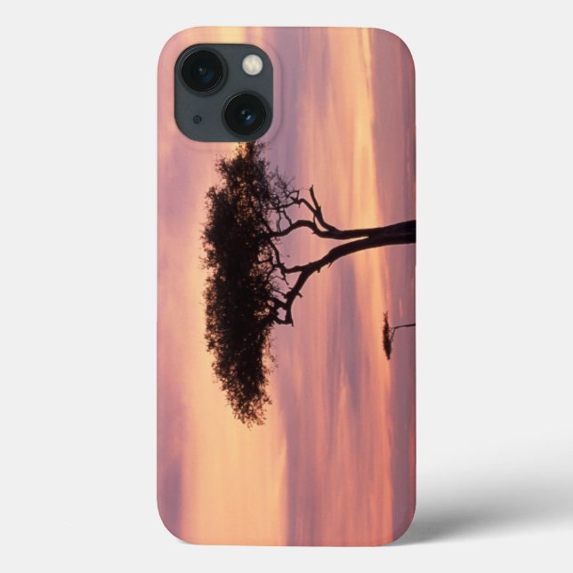Silhouette image of acacia tree at sunrise Case-Mate iPhone hülle (Rückseite)