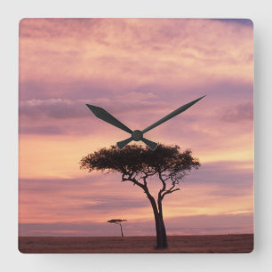 Silhouette image of acacia tree at sunrise quadratische wanduhr