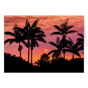 Silhouette Palmen, Hawaii