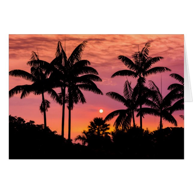 Silhouette Palmen, Hawaii (Vorderseite (Horizontal))