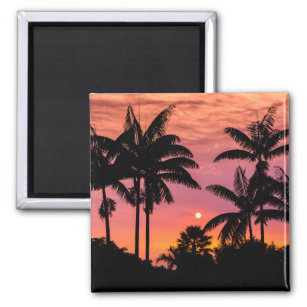 Silhouette Palmen, Hawaii Magnet