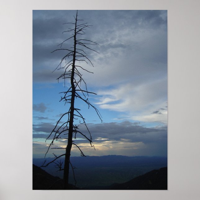 Silhouette Poster (Vorne)