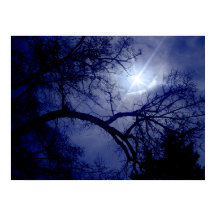 Silhouette-Poster für Wall-Size-Bäume